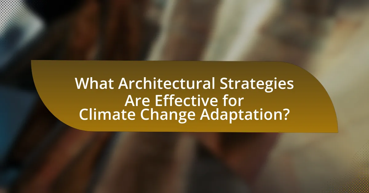 What Architectural Strategies Are Effective for Climate Change Adaptation?