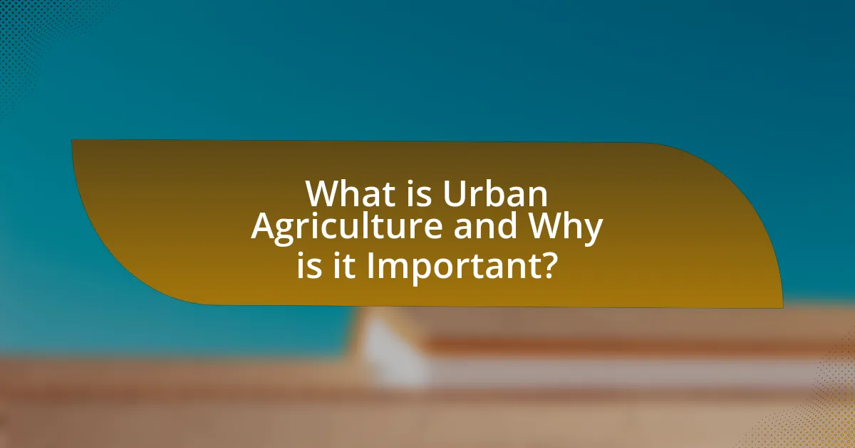 What is Urban Agriculture and Why is it Important?